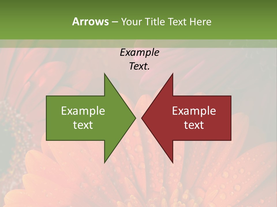 Gerbera Background Seasonal PowerPoint Template
