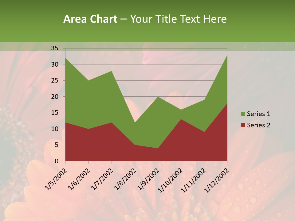 Gerbera Background Seasonal PowerPoint Template