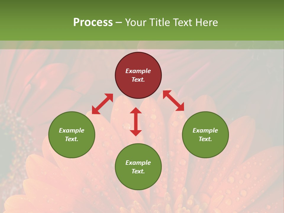 Gerbera Background Seasonal PowerPoint Template