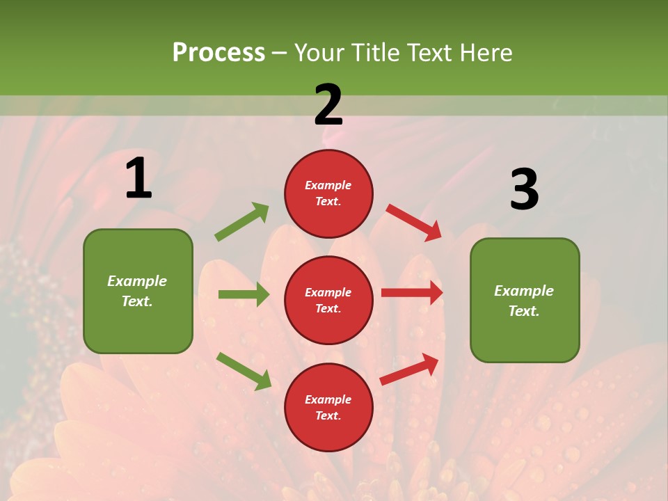 Gerbera Background Seasonal PowerPoint Template