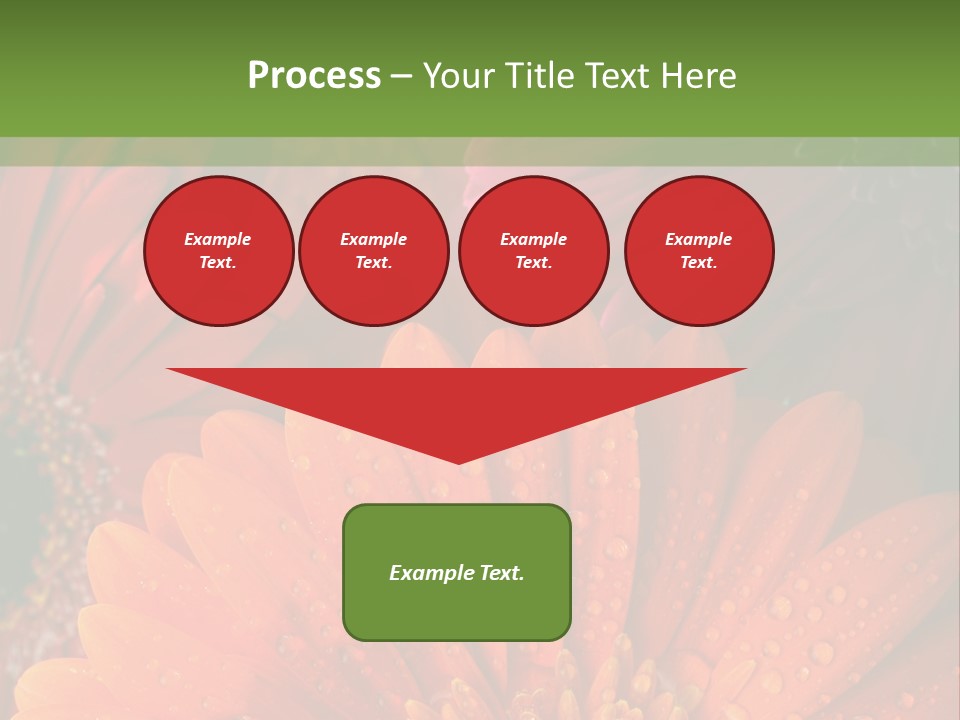 Gerbera Background Seasonal PowerPoint Template