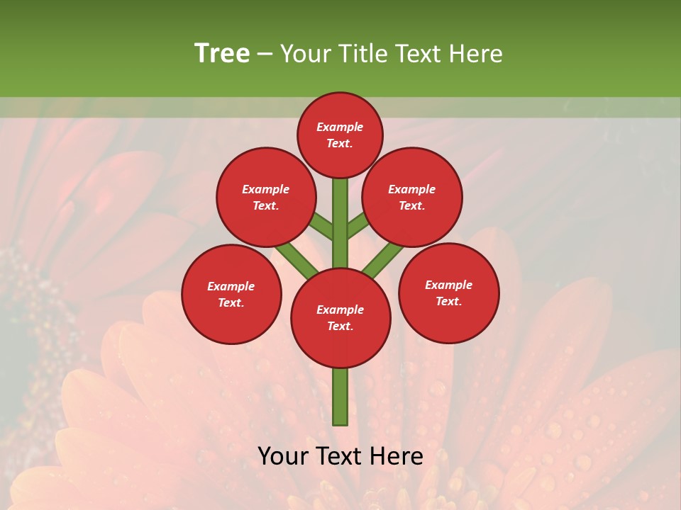 Gerbera Background Seasonal PowerPoint Template