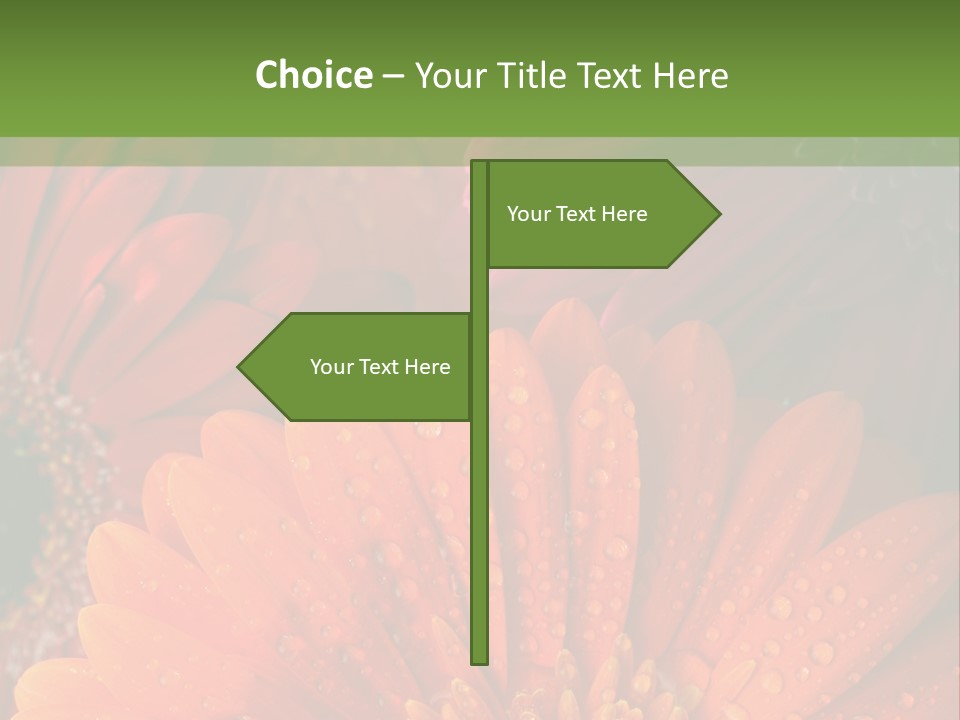 Gerbera Background Seasonal PowerPoint Template