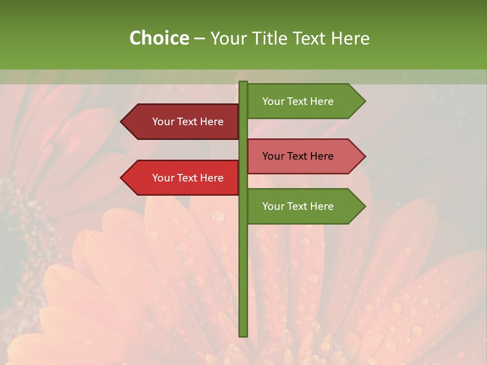 Gerbera Background Seasonal PowerPoint Template