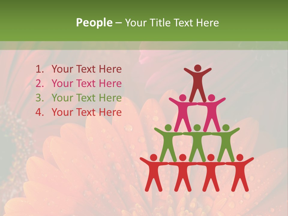 Gerbera Background Seasonal PowerPoint Template