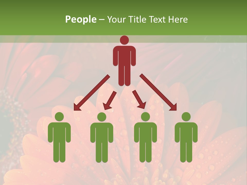 Gerbera Background Seasonal PowerPoint Template