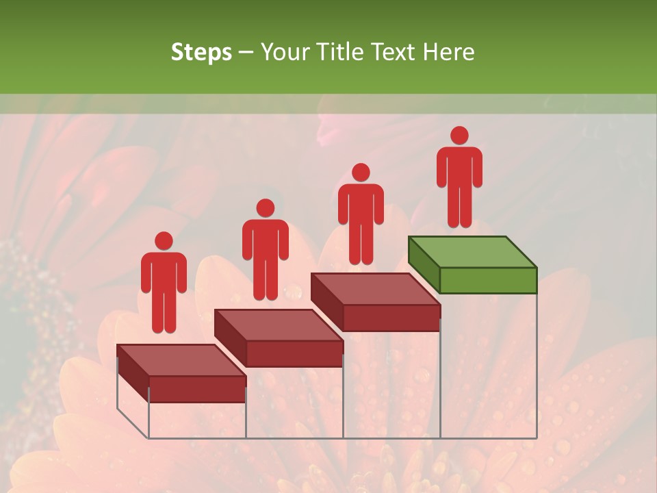 Gerbera Background Seasonal PowerPoint Template