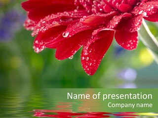 Bright Leafs Floral PowerPoint Template