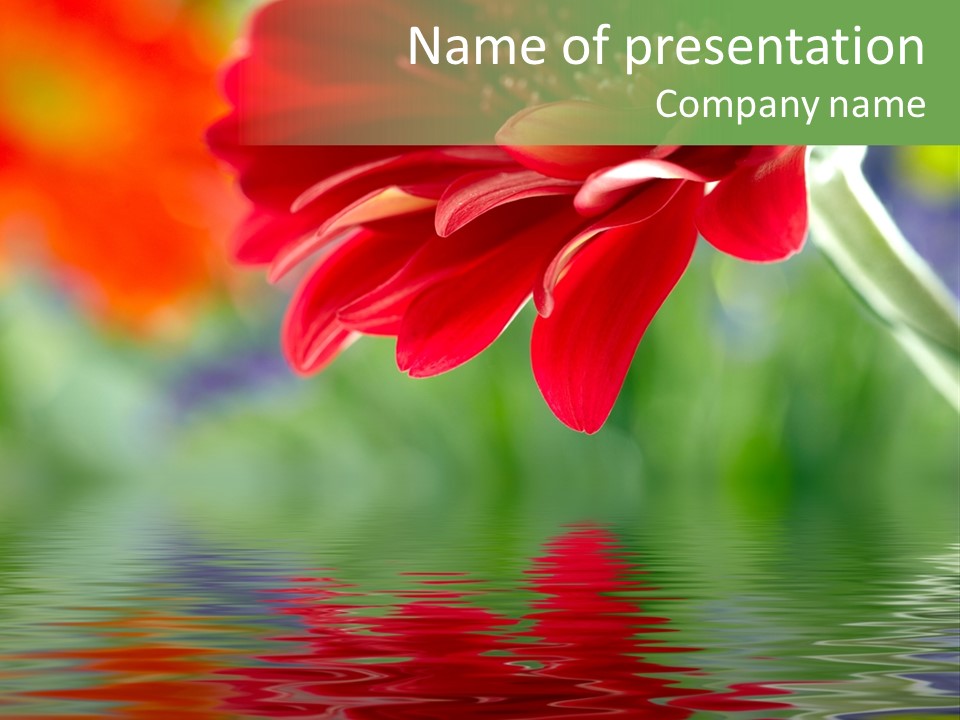 Reflect Beautiful Clipping PowerPoint Template