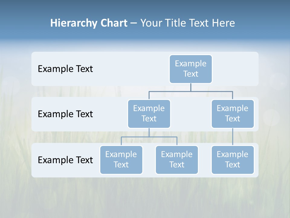 Bokeh Color Sun PowerPoint Template