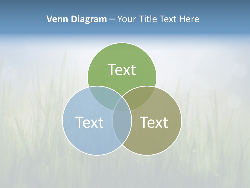 Bokeh Color Sun PowerPoint Template