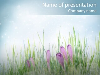 Blur Garden Symbol PowerPoint Template