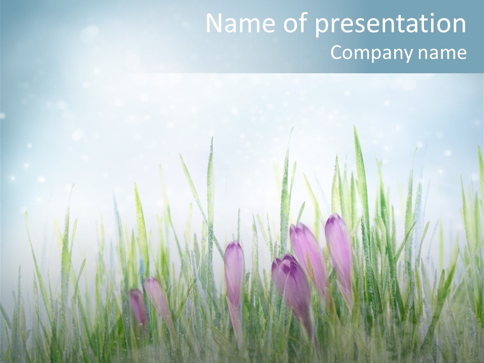 Blur Garden Symbol PowerPoint Template