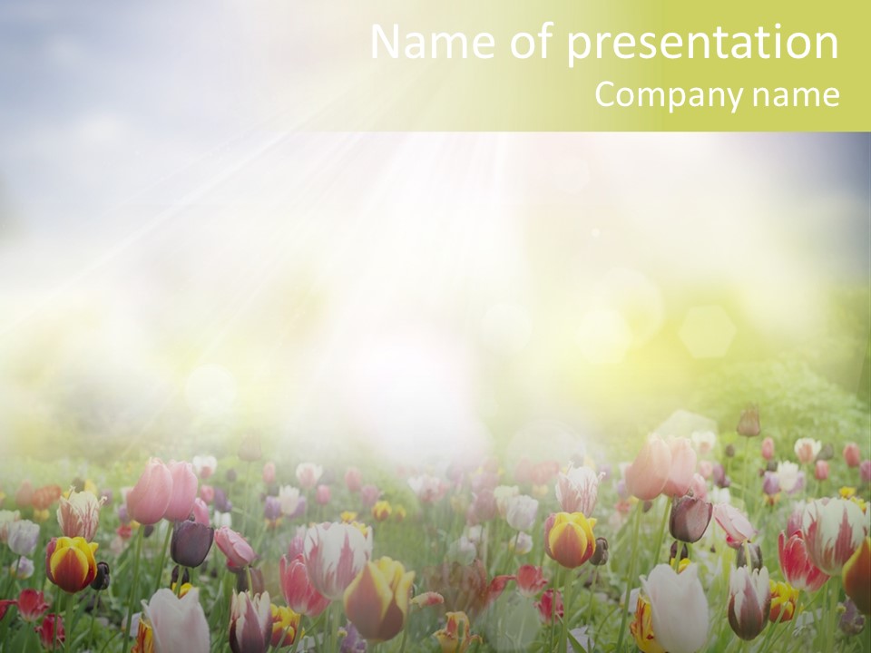 Garden Red Flower PowerPoint Template