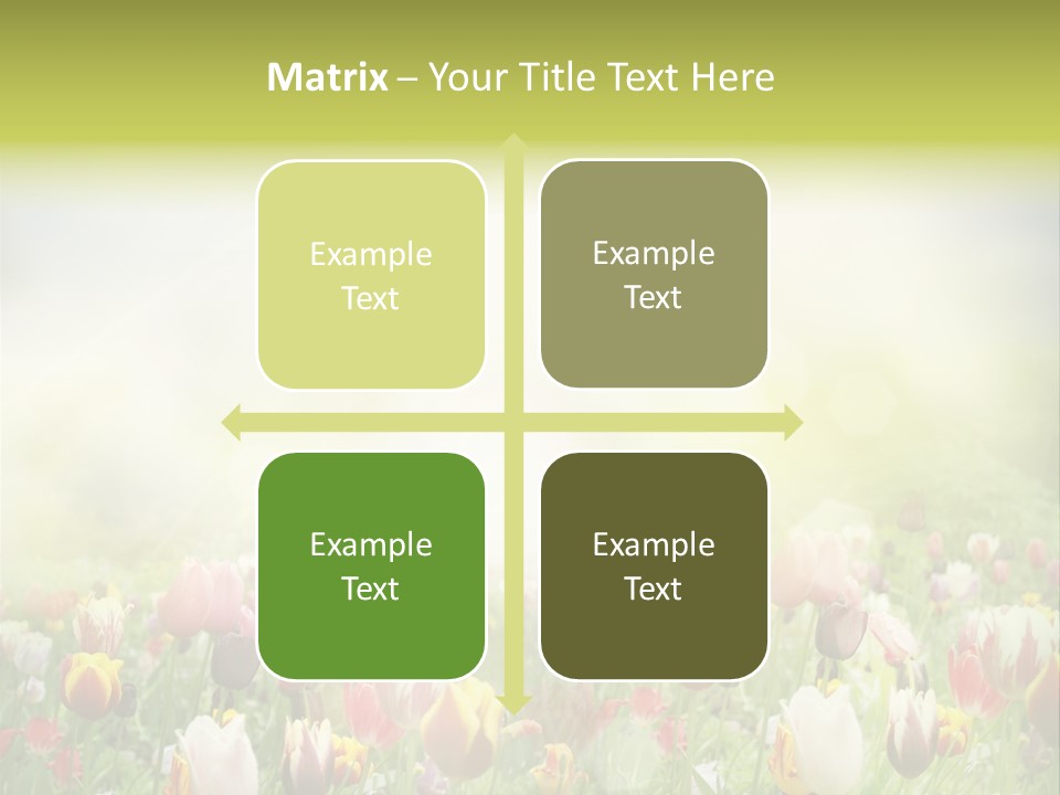 Garden Red Flower PowerPoint Template