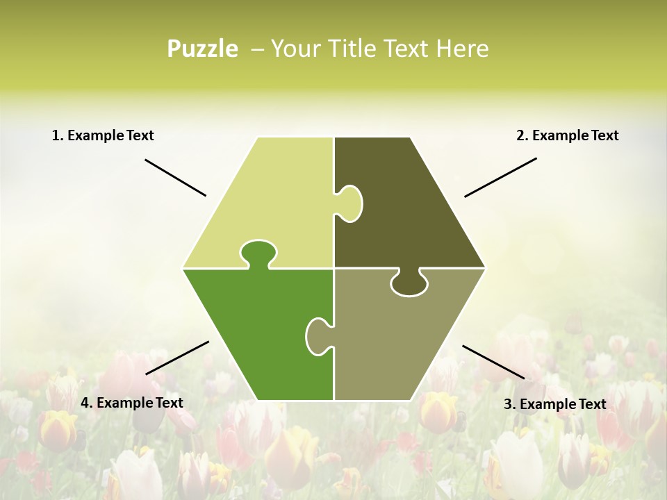 Garden Red Flower PowerPoint Template