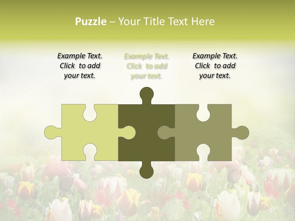 Garden Red Flower PowerPoint Template