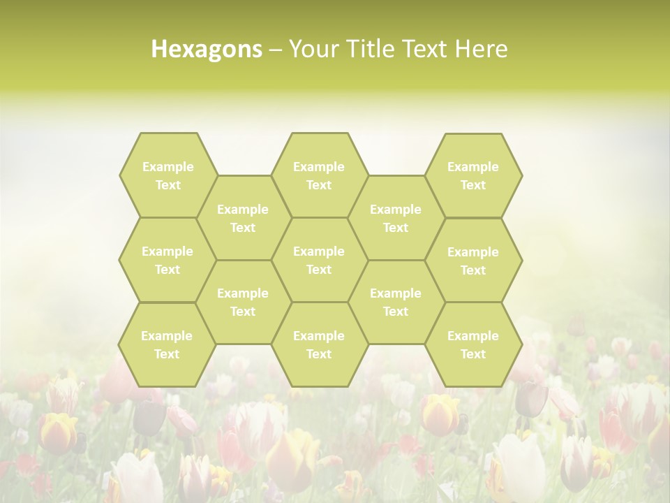 Garden Red Flower PowerPoint Template