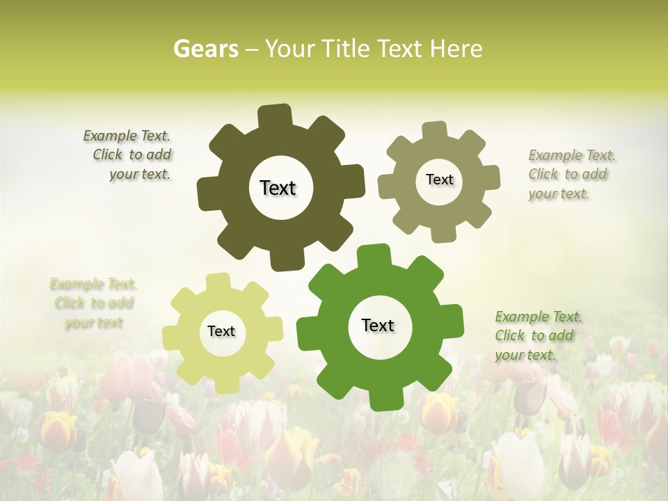 Garden Red Flower PowerPoint Template