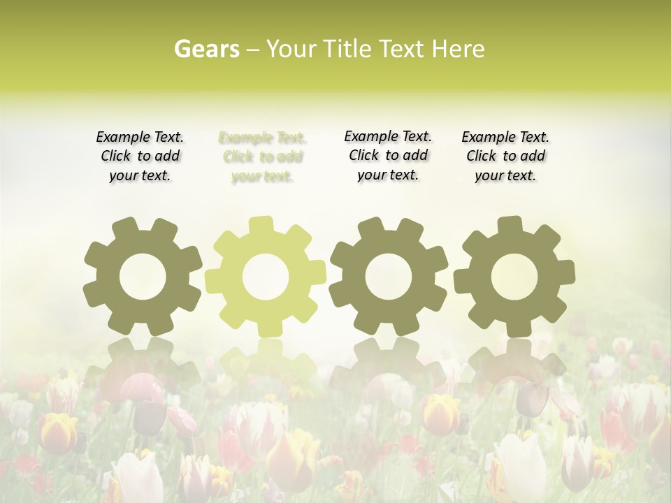 Garden Red Flower PowerPoint Template