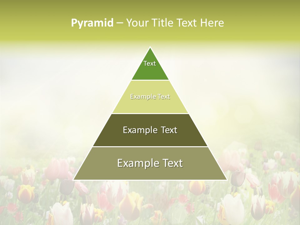 Garden Red Flower PowerPoint Template