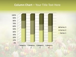 Garden Red Flower PowerPoint Template