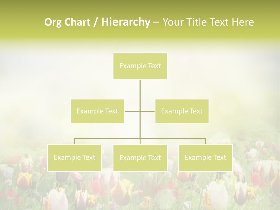 Garden Red Flower PowerPoint Template