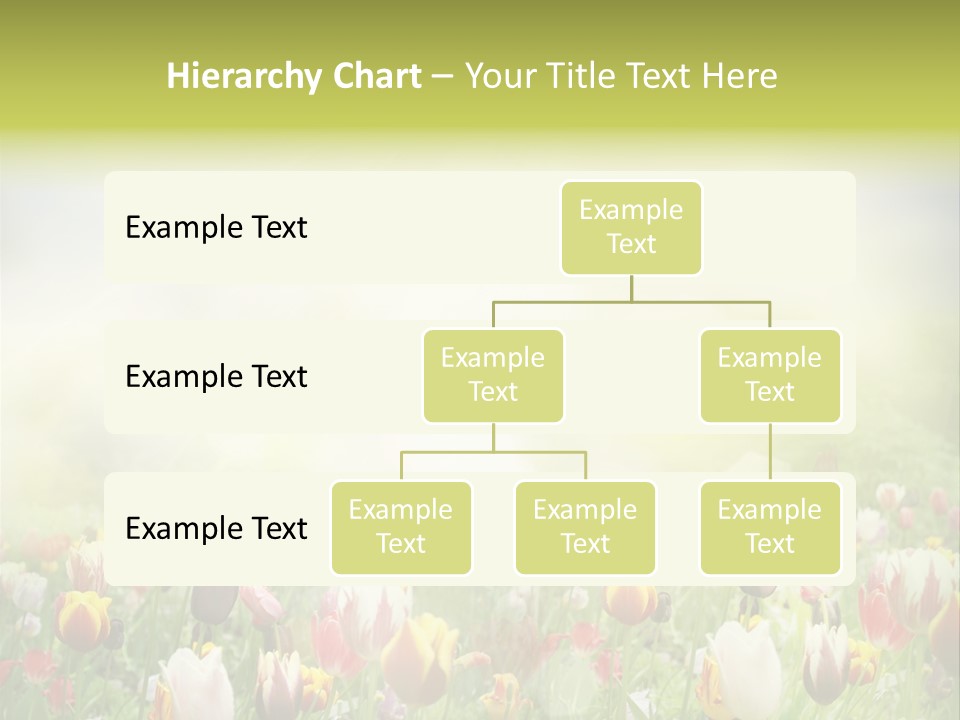 Garden Red Flower PowerPoint Template
