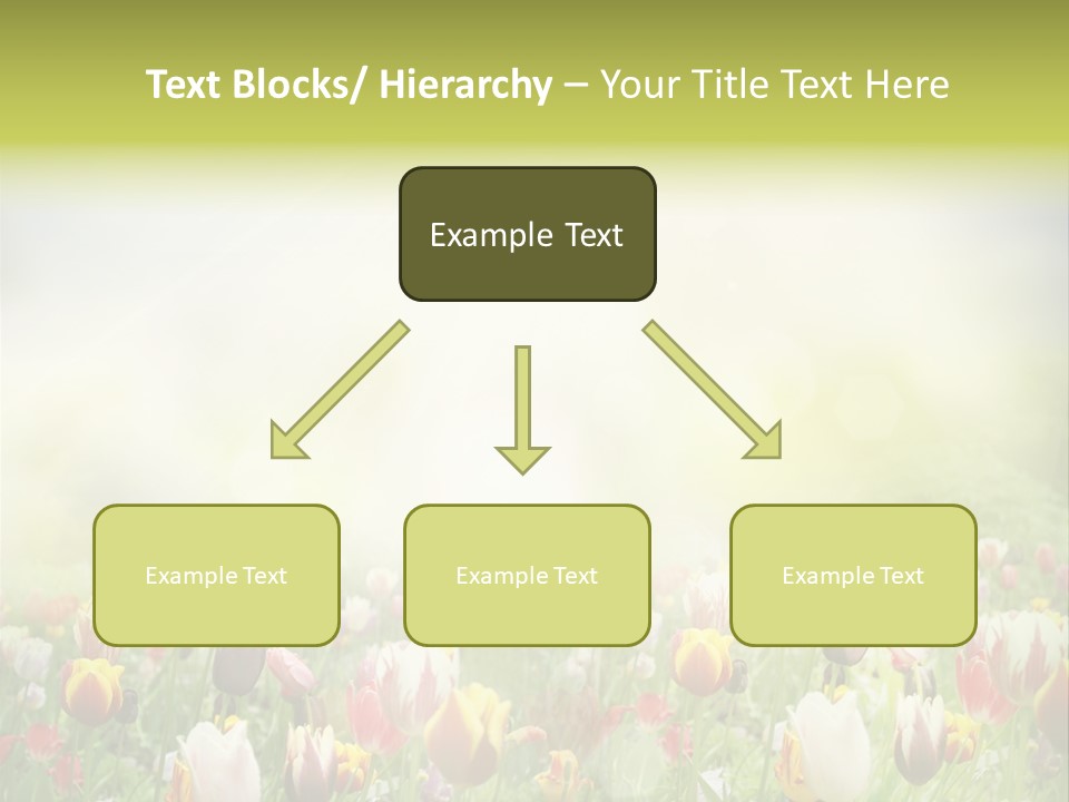 Garden Red Flower PowerPoint Template