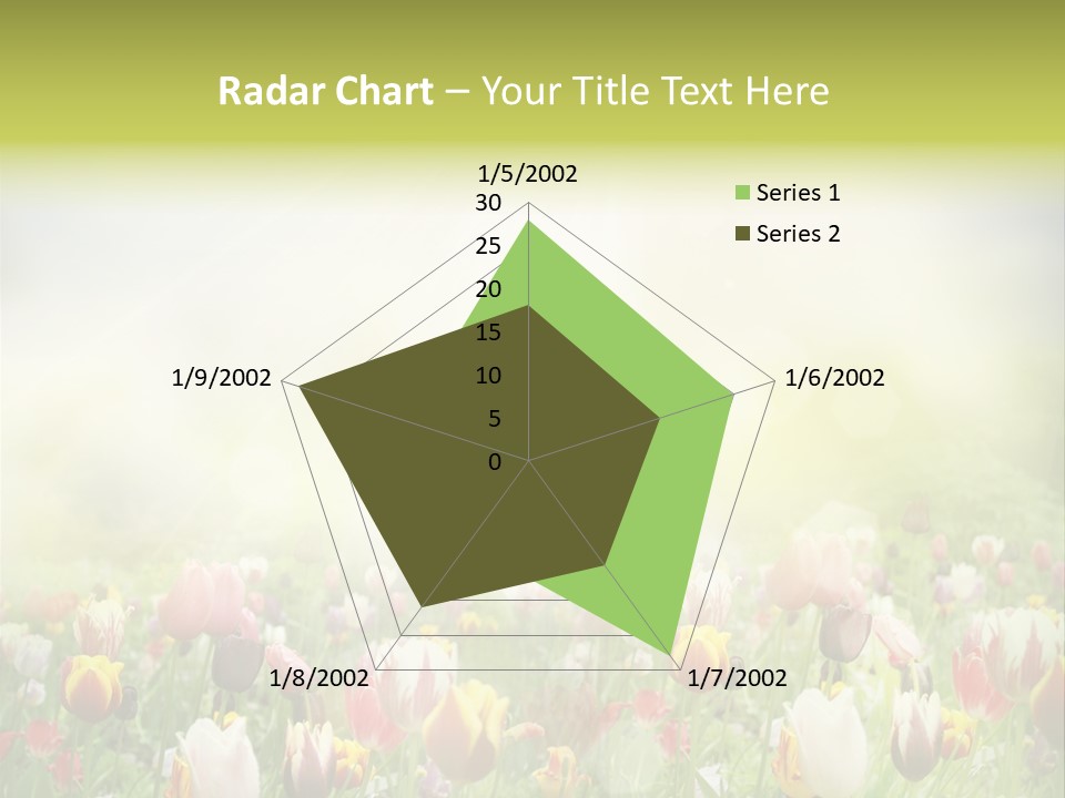 Garden Red Flower PowerPoint Template