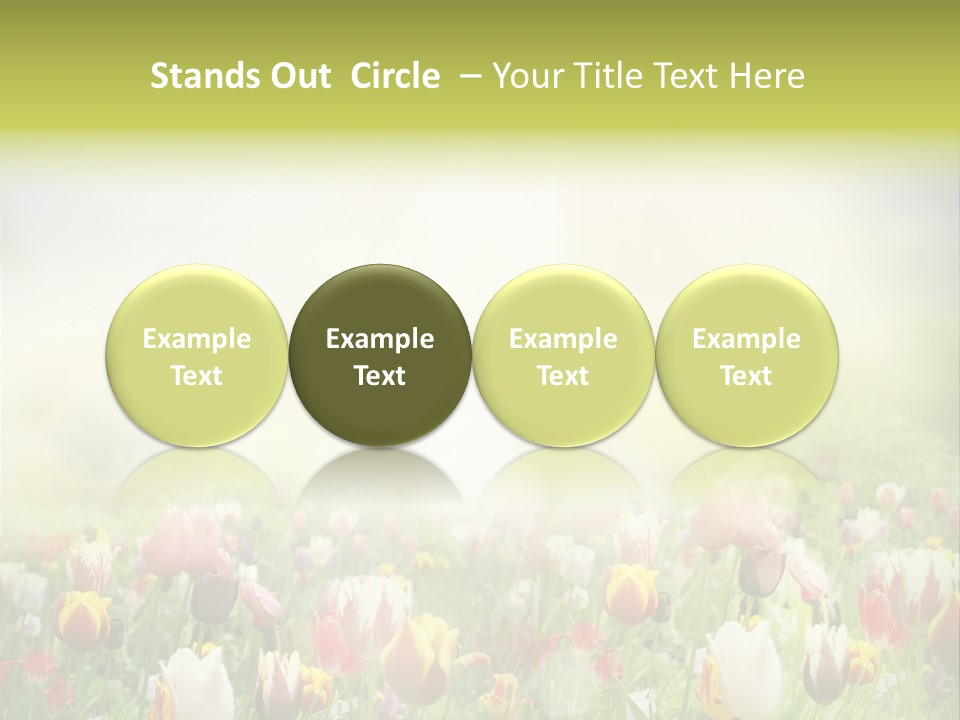 Garden Red Flower PowerPoint Template