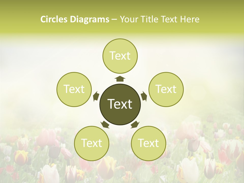 Garden Red Flower PowerPoint Template