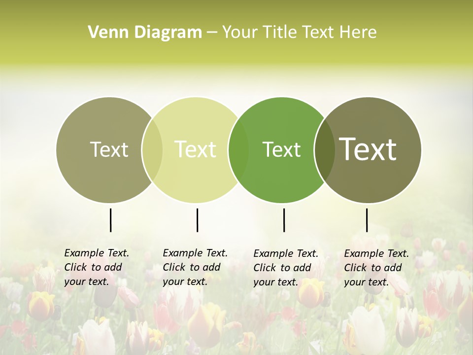 Garden Red Flower PowerPoint Template