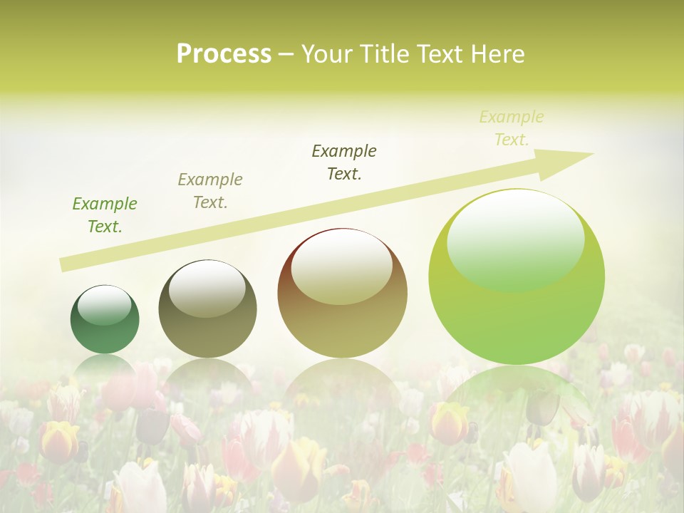 Garden Red Flower PowerPoint Template