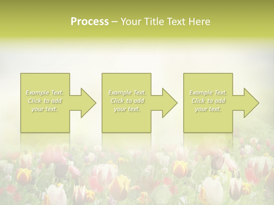 Garden Red Flower PowerPoint Template