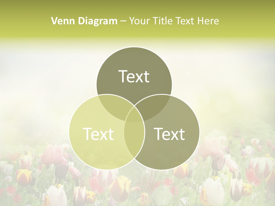 Garden Red Flower PowerPoint Template