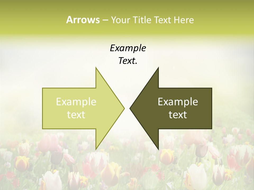 Garden Red Flower PowerPoint Template