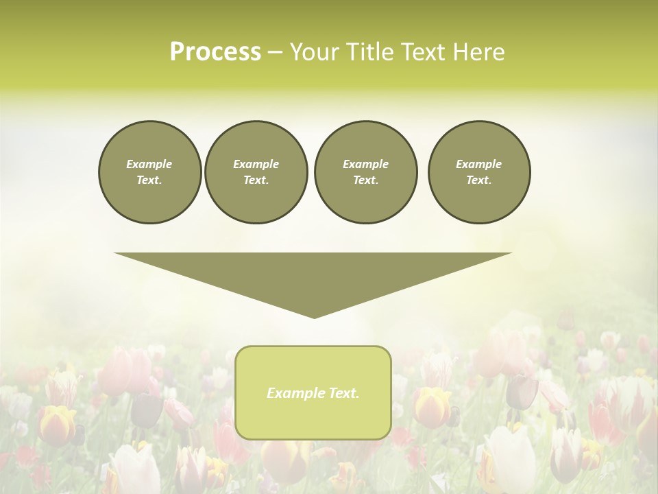 Garden Red Flower PowerPoint Template