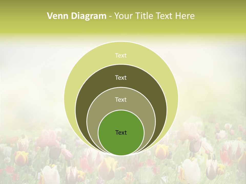 Garden Red Flower PowerPoint Template