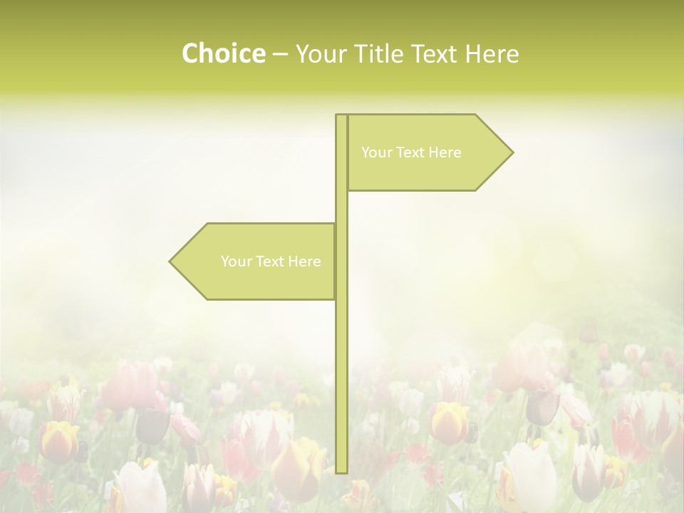 Garden Red Flower PowerPoint Template