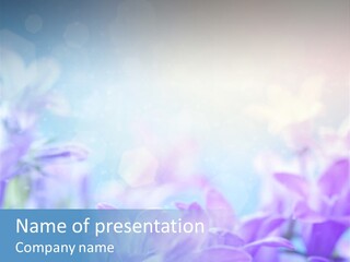 Leaf White Concept PowerPoint Template