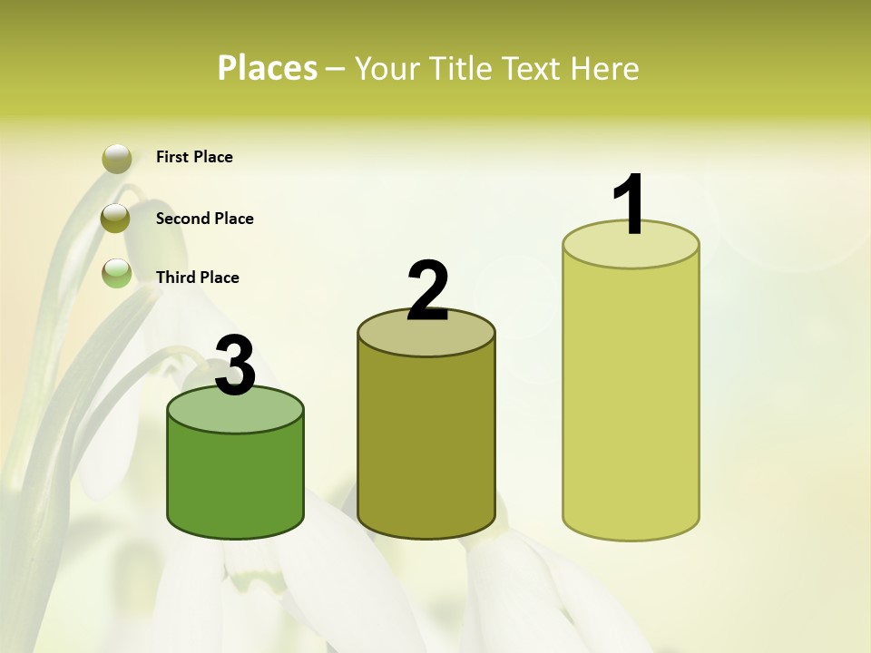 Outdoor Closeup Forest PowerPoint Template