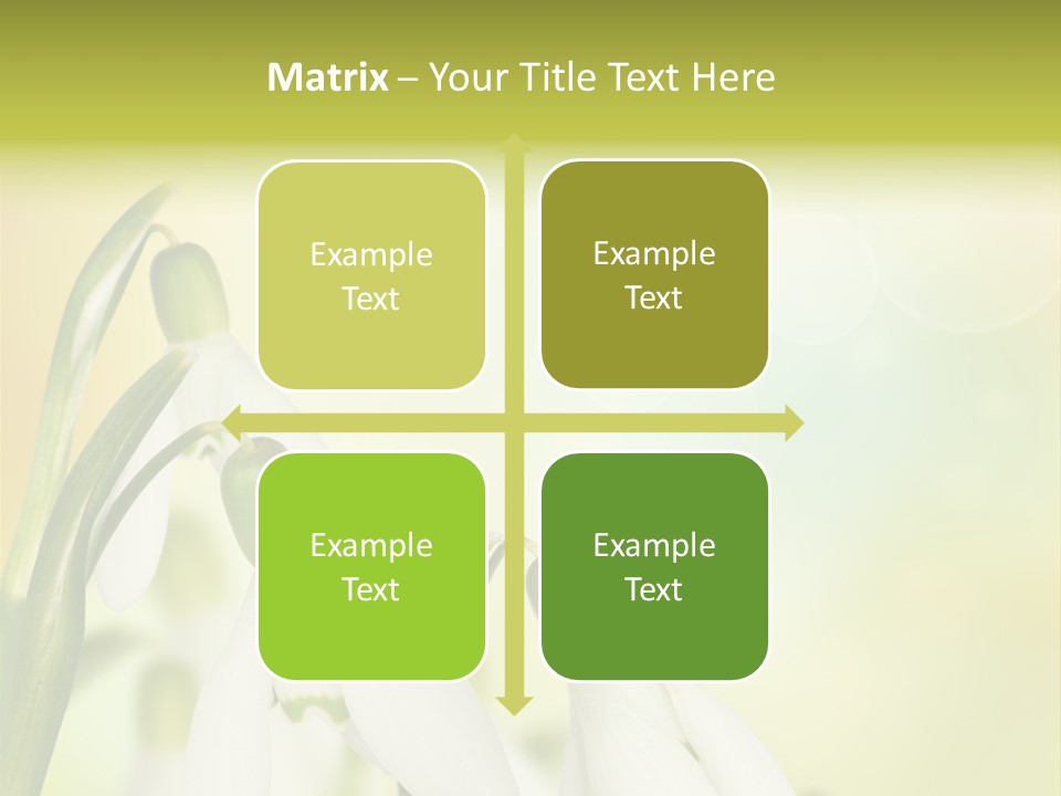 Outdoor Closeup Forest PowerPoint Template