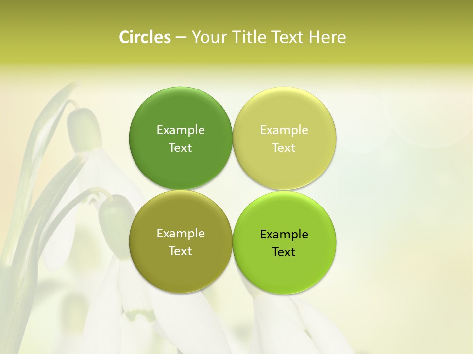 Outdoor Closeup Forest PowerPoint Template