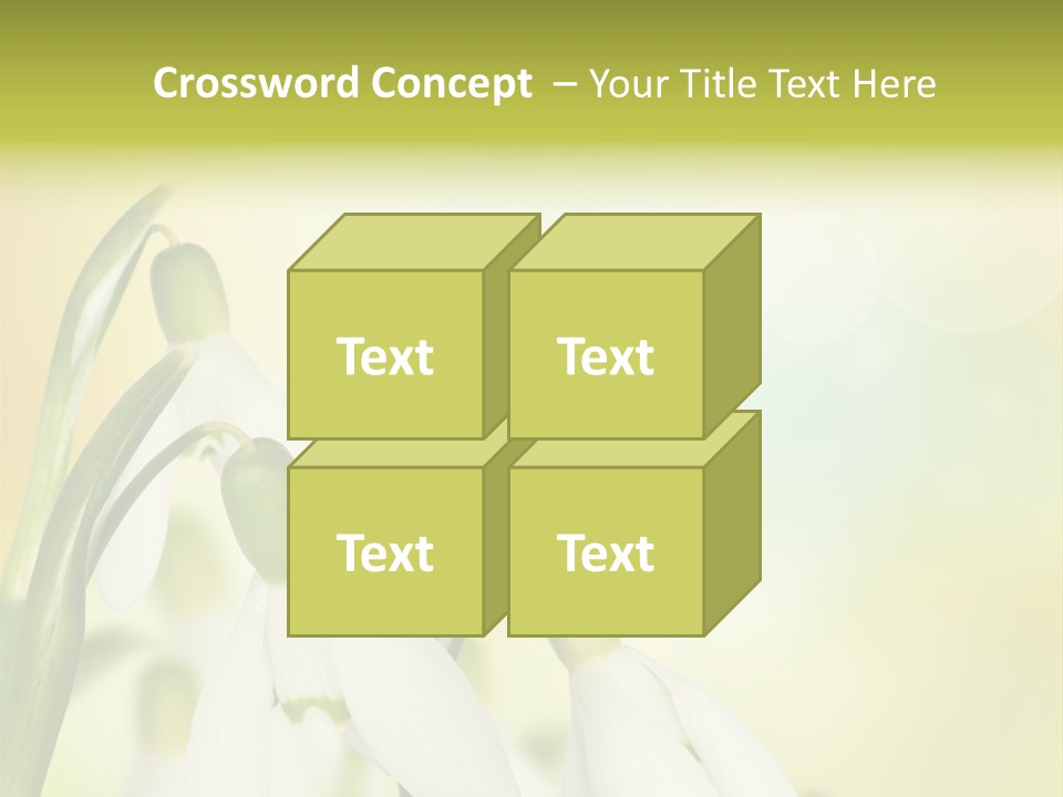Outdoor Closeup Forest PowerPoint Template