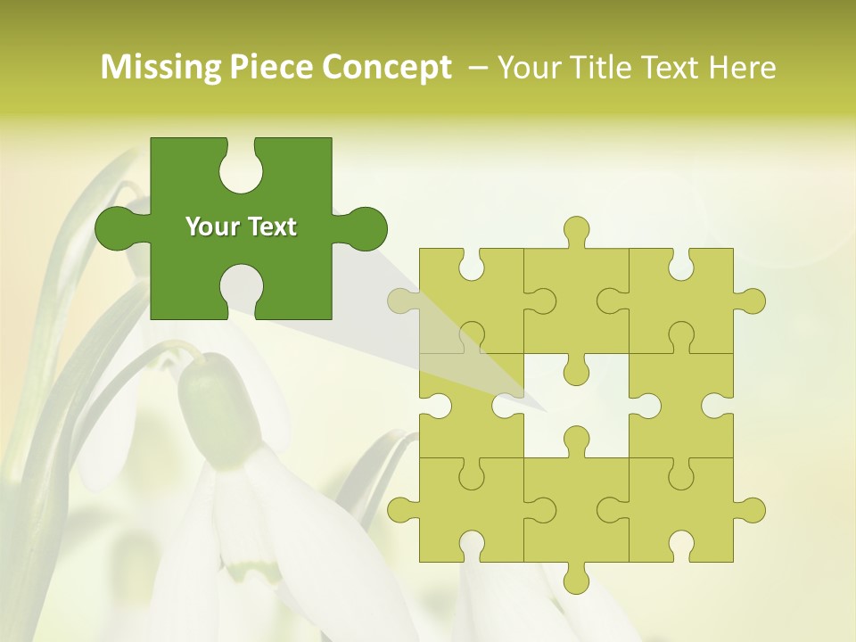 Outdoor Closeup Forest PowerPoint Template