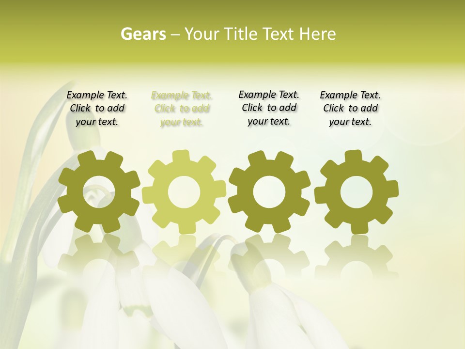 Outdoor Closeup Forest PowerPoint Template