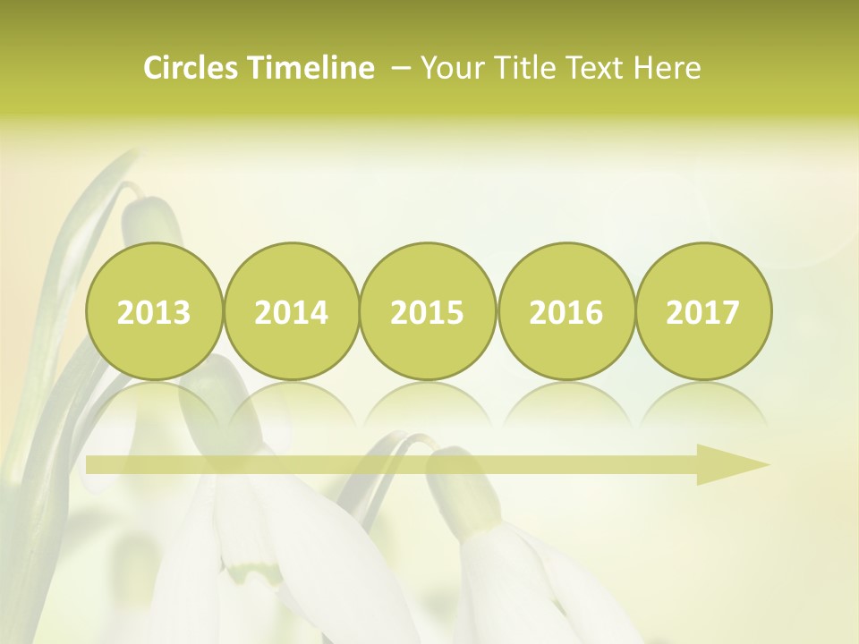 Outdoor Closeup Forest PowerPoint Template