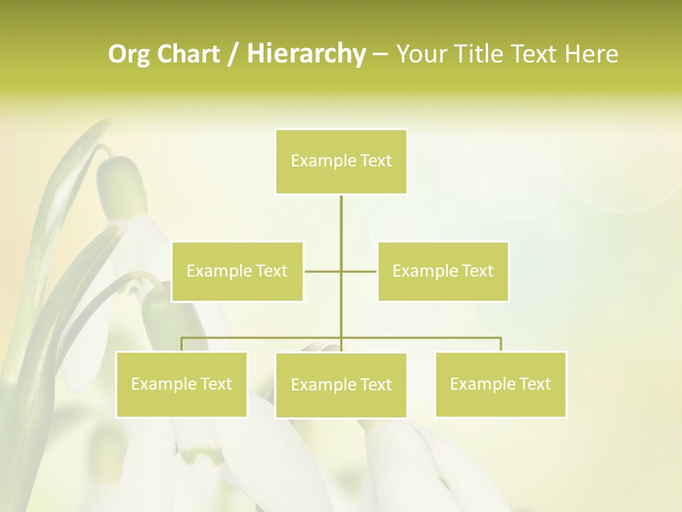 Outdoor Closeup Forest PowerPoint Template