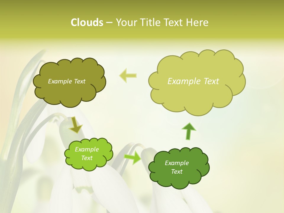 Outdoor Closeup Forest PowerPoint Template